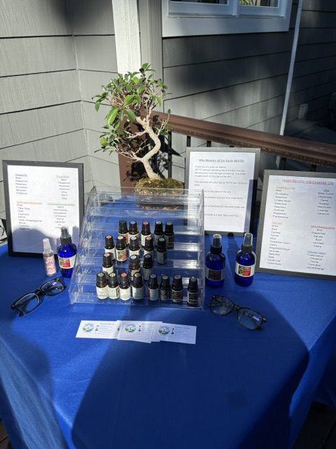 An essential-oil display with a small bonsai tree